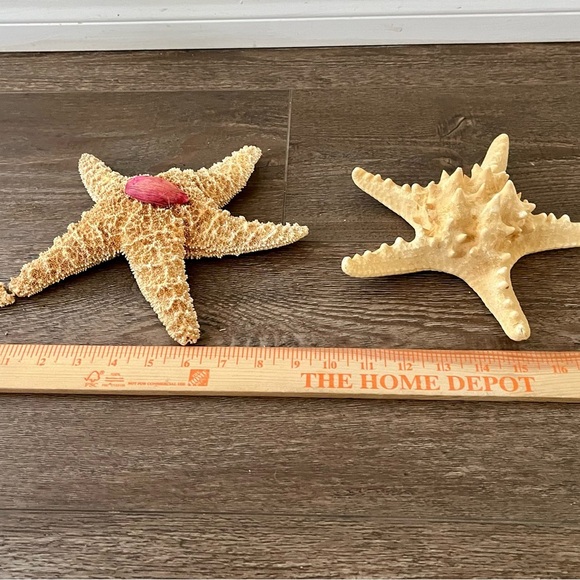Decorative Starfish Set with Pink Accent - Picture 3 of 13
